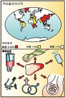 乙肝病毒传播常见的几种途径?