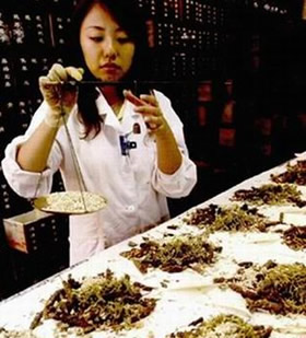 治疗中度脂肪肝有何药疗法?