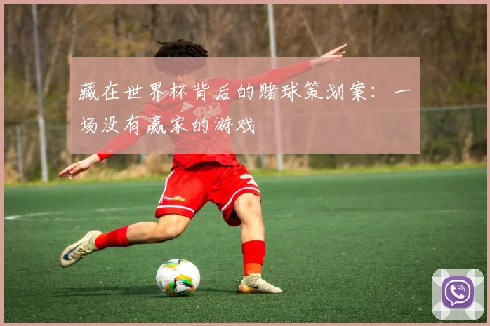 藏在世界杯背后的赌球策划案：一场没有赢家的游戏