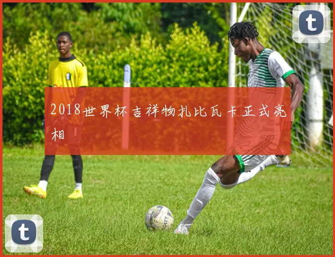 2018世界杯吉祥物扎比瓦卡正式亮相