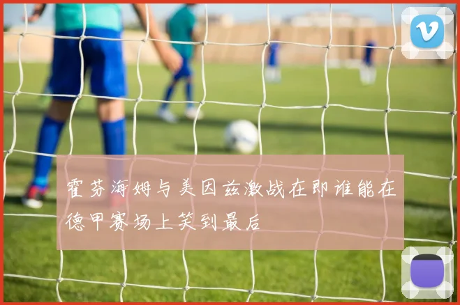 霍芬海姆与美因兹激战在即谁能在德甲赛场上笑到最后